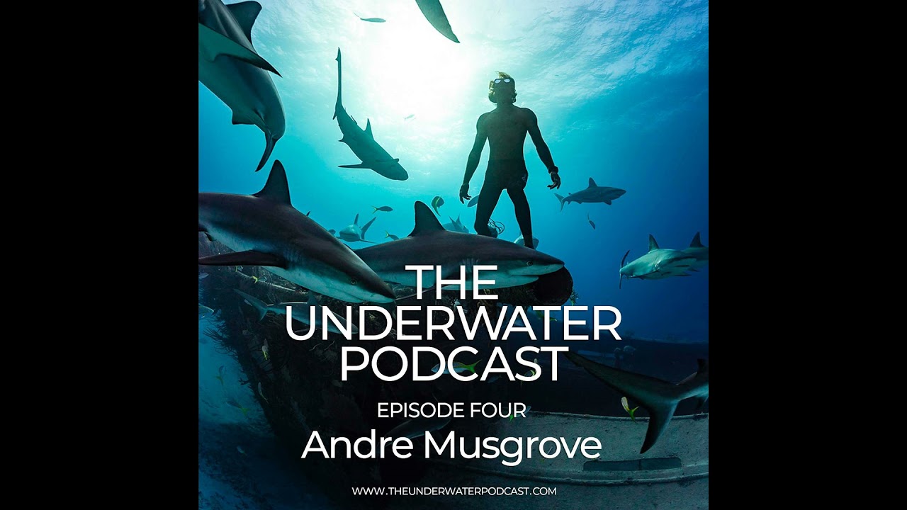 Bahamian Underwater Photographer & Freediver Andre Musgrove - Episode Four