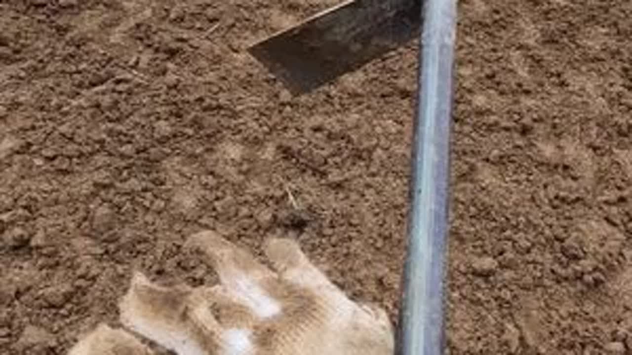 在中国六线小县城建立一家职业足球俱乐部第102天 #足球 #职业足球 #大凉山