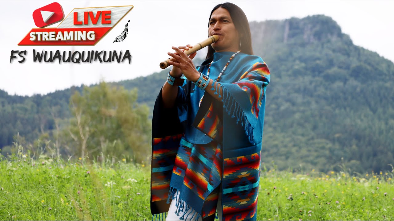 Live performance #subscribe #like #amazing #music #fabiansalazarwuauquikuna