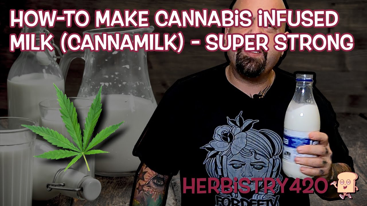 Как сделать молоко, настоянное на конопле (CannaMilk) | Травы420