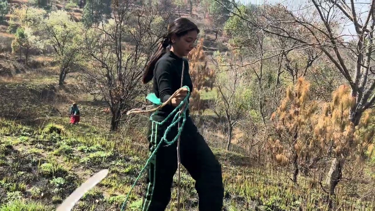 Village Life Vlog | लकड़ी काटने गए | बहुत थक गए 😓