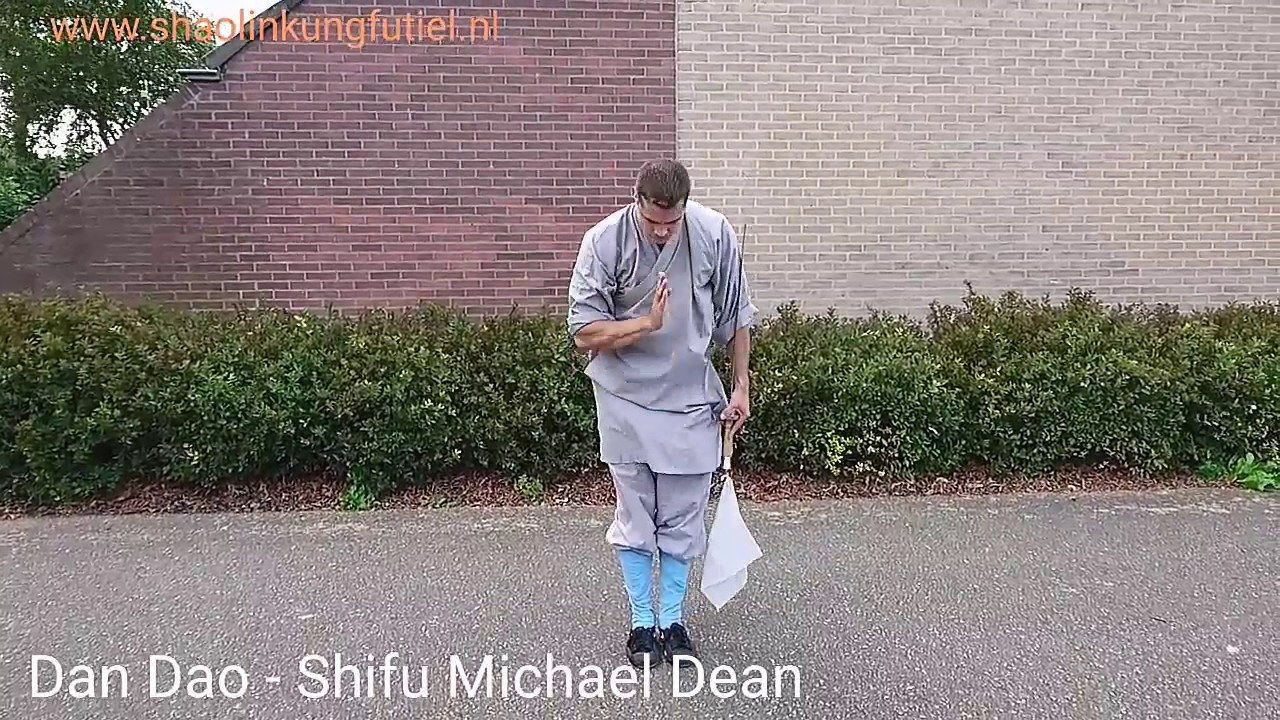 Dan Dao slowmo - Shifu Michael Dean