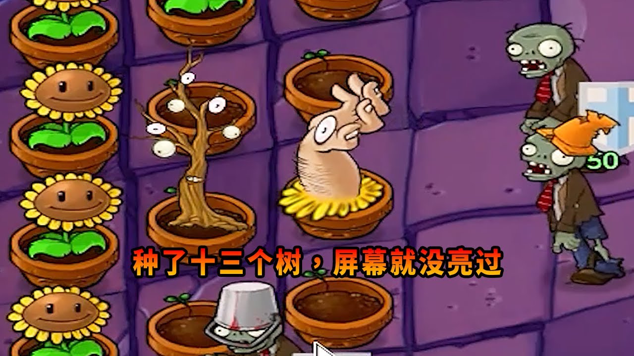 【植物大戰僵尸】種了十三棵樹，屏幕就沒亮過！