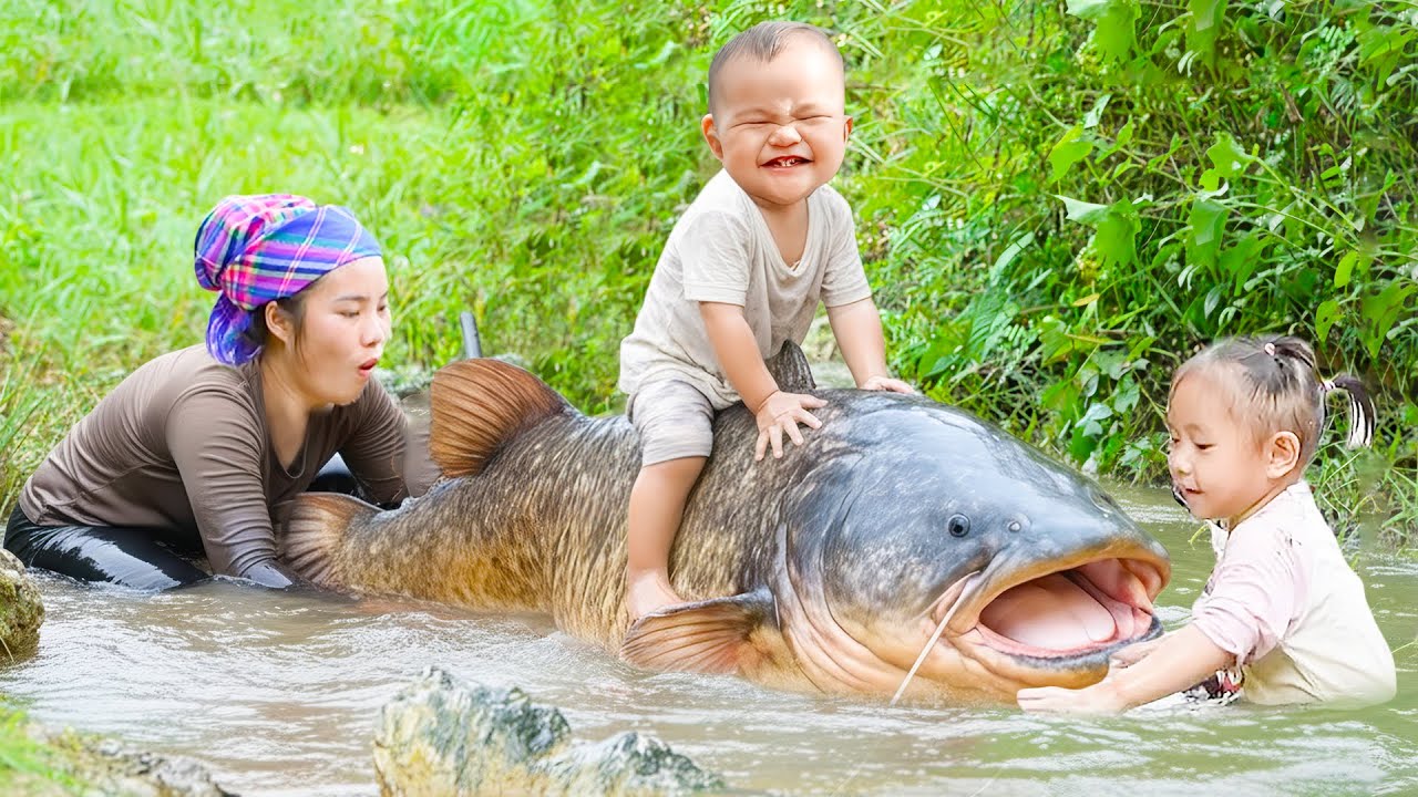 Harvesting Giant Catfish in the River with BARE Hand to Sell at Market - Fishing Adventure