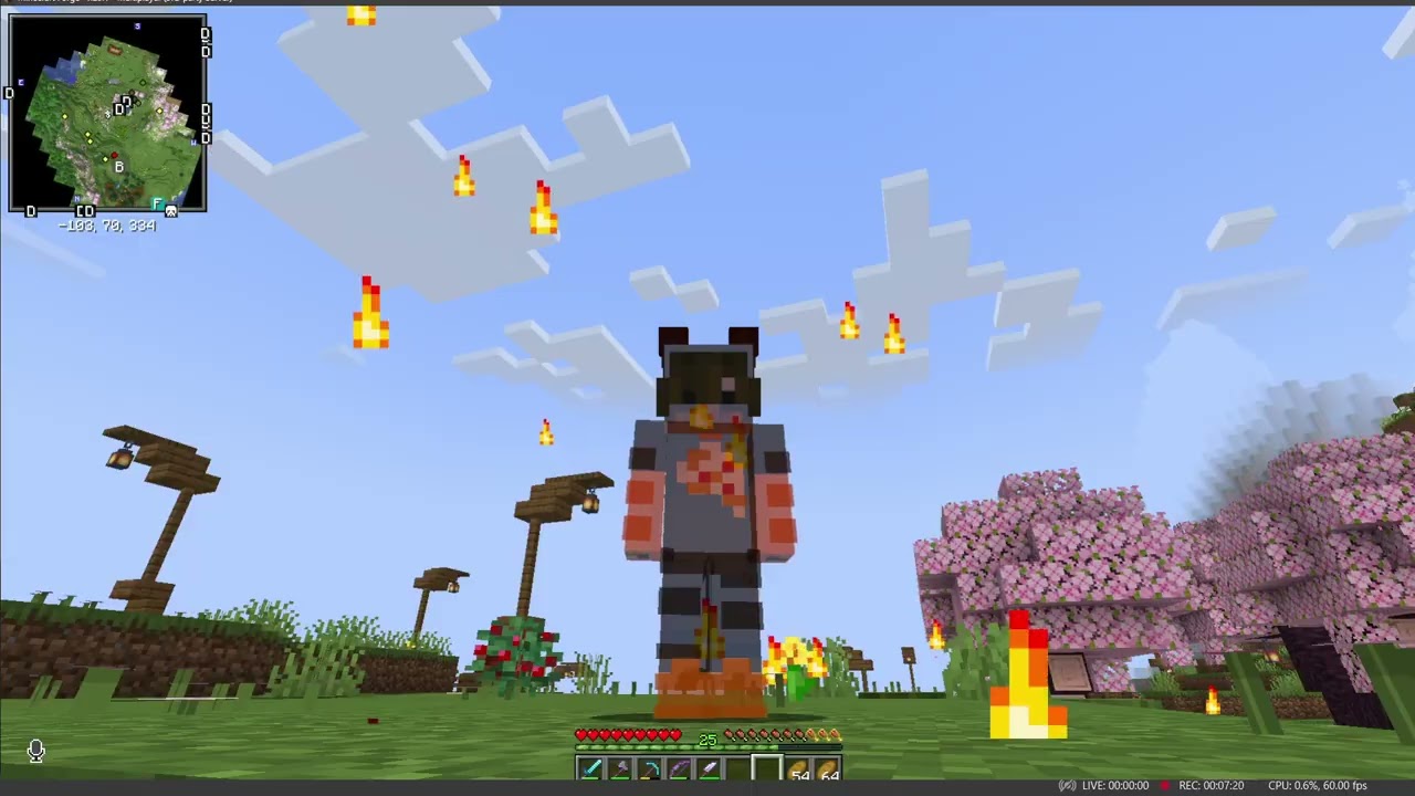 Anyffing SMP Lore | Ep 1 | (Minecraft unedited lore smp footage)