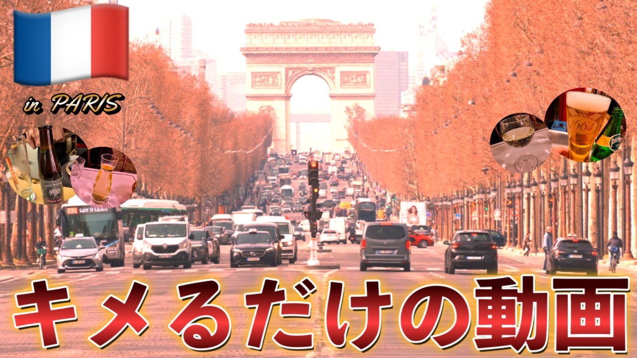 フランス🇫🇷パリでキメるだけの動画🍻