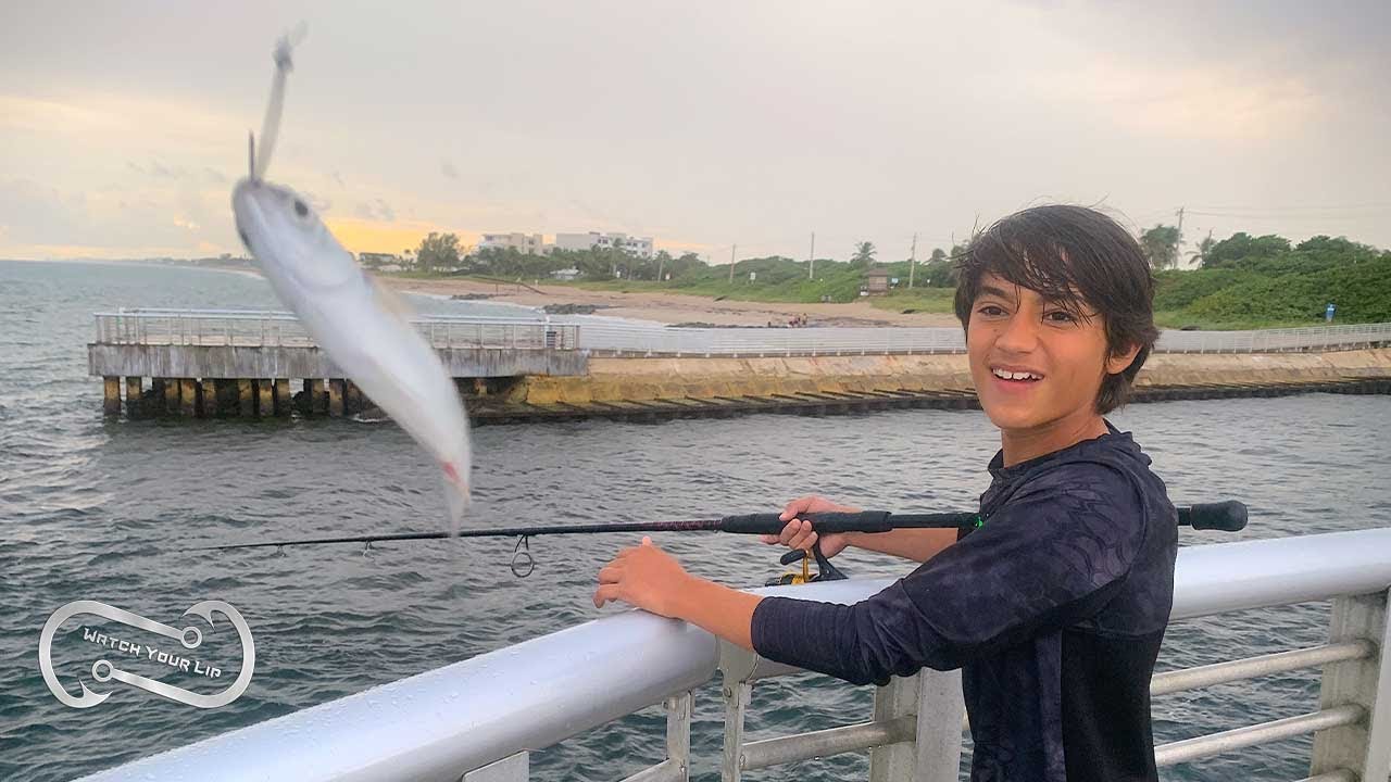 BOYNTON INLET MULLET  RUN - TARPON AND MORE