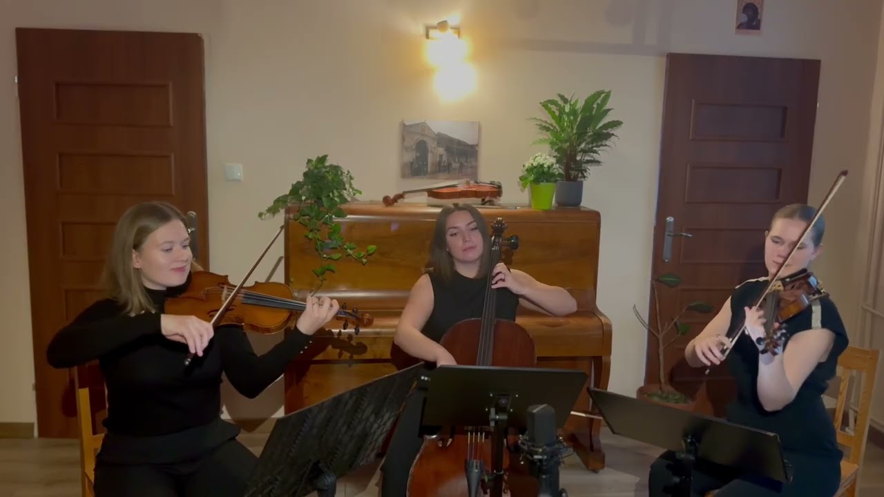 Mag Synergy Entertainment 🎼🎶🎻👏🎻👍🎻🫶🏻