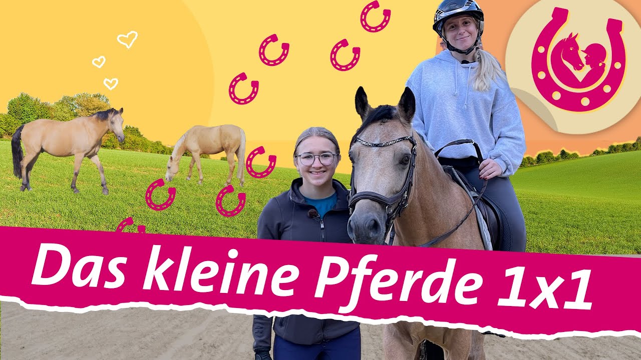 Erste Reitstunde bei Lia: Maria Ziffy auf dem Ponyhof | Mein Pferdesommer