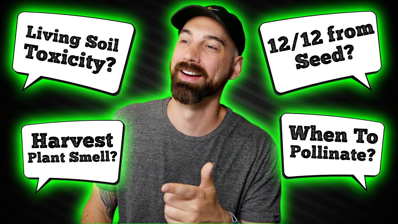 Epic Gardening Questions... ANSWERED! (Q&A #21)