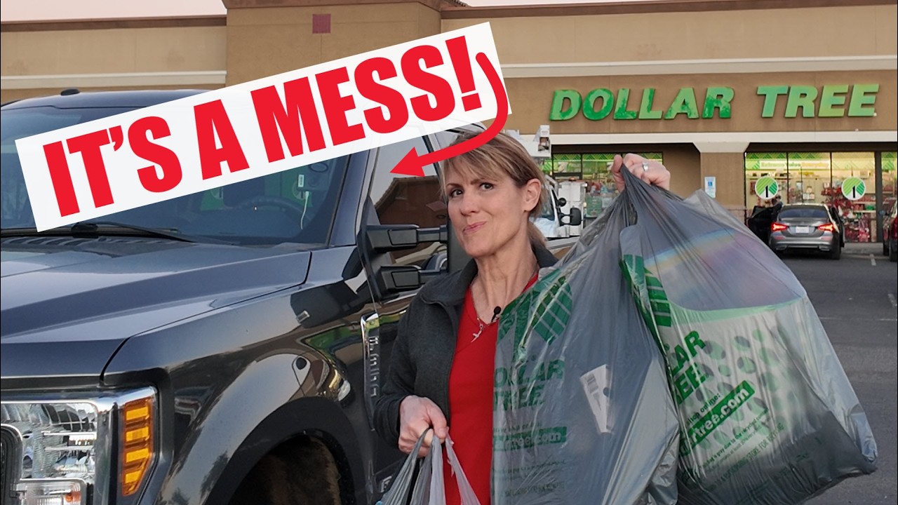 Cheap DOLLAR TREE hacks: RV ROAD TRIP vehicle organization!