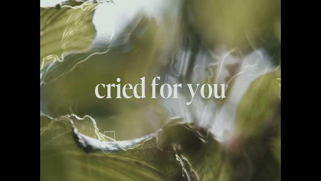 AK - cried for you