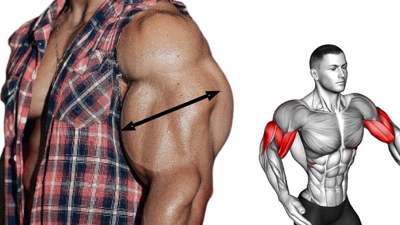 How to Build MASSIVE MUSCULAR ARMS (EFFECTIVE EXERCISES)