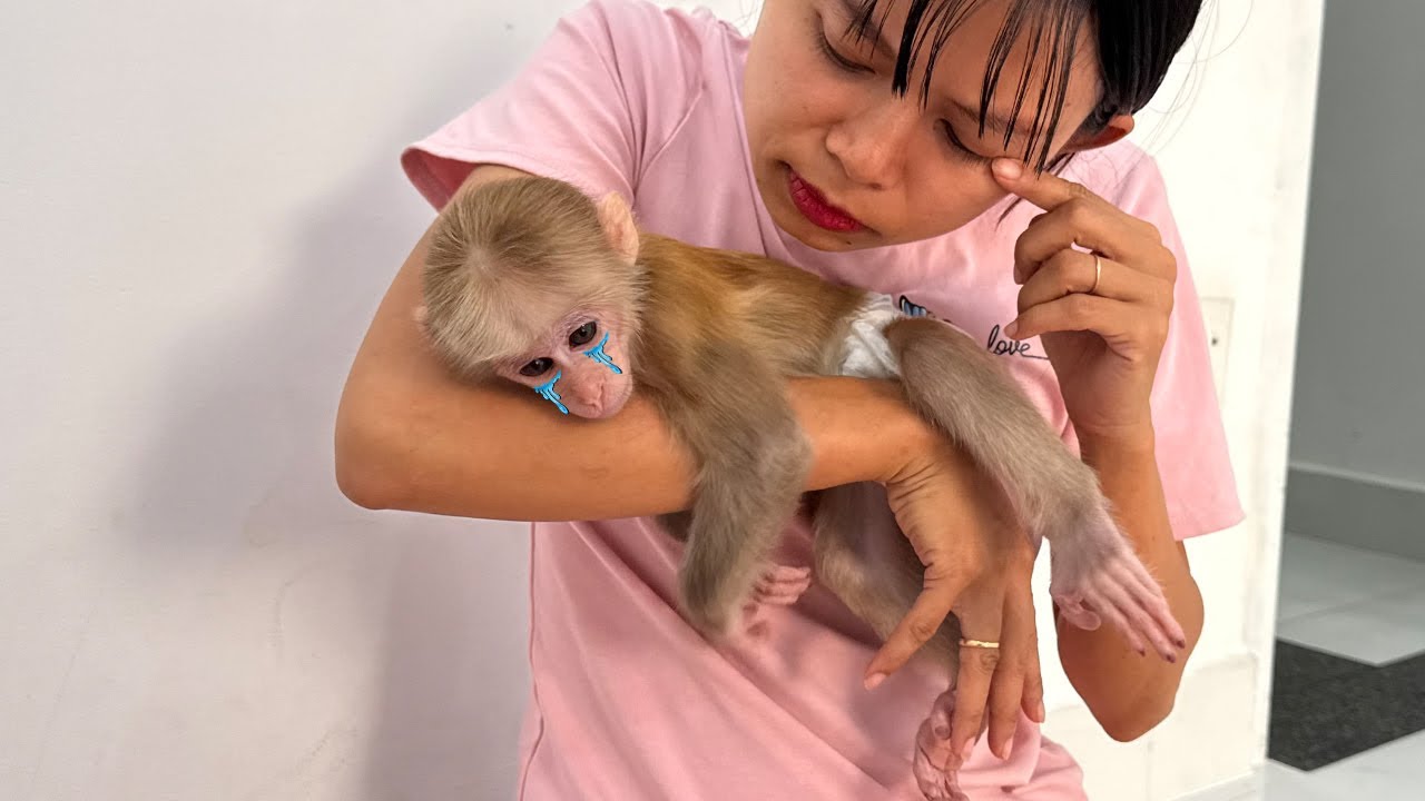 🥺 Lucky was sad, snuggling into his mother's arms to find a peaceful sleep: What happened?