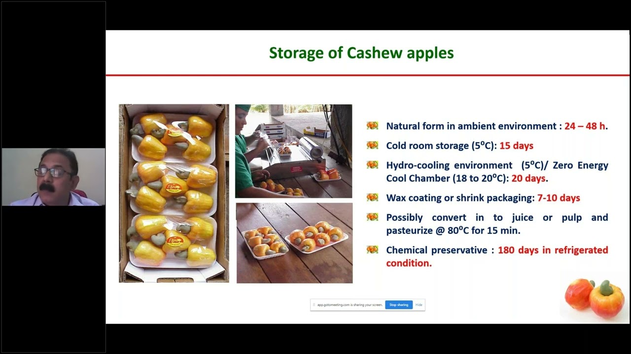 Utilization of cashew apples and value addition - Dr. D Balasubramanian