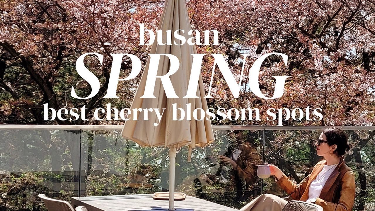 Chasing Spring: Discovering the Best Cherry Blossom Spots in Busan 2023