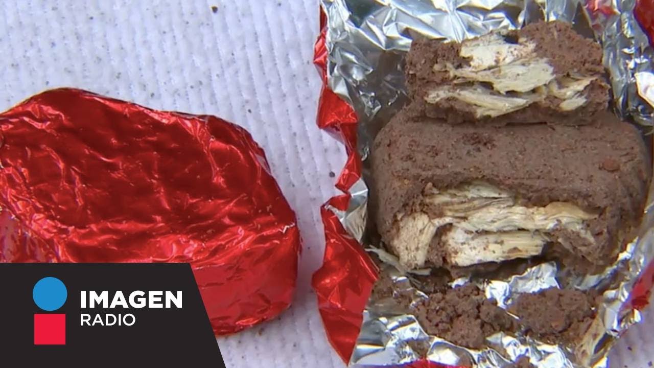 ¿Qué son los Chocongos y cómo afectan el cuerpo?