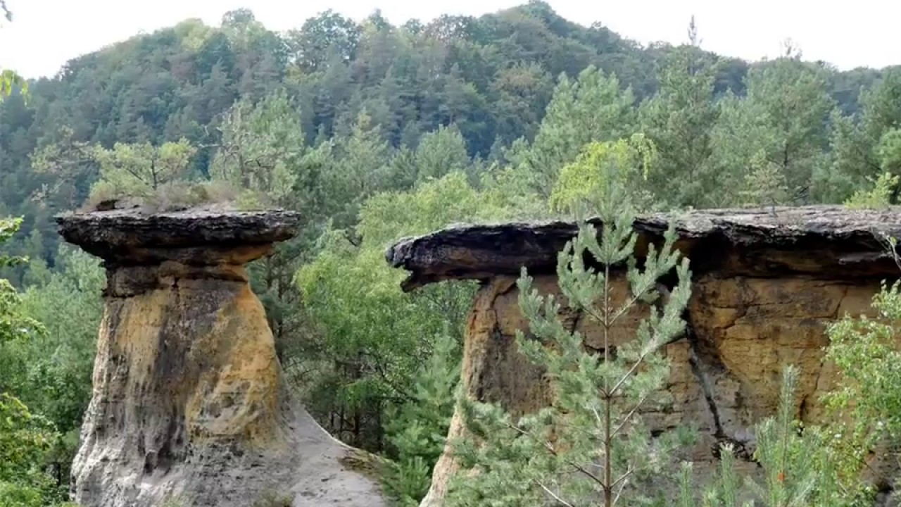Kokoř&iacute;nsko. Chr&aacute;něn&aacute; krajinn&aacute; oblast.