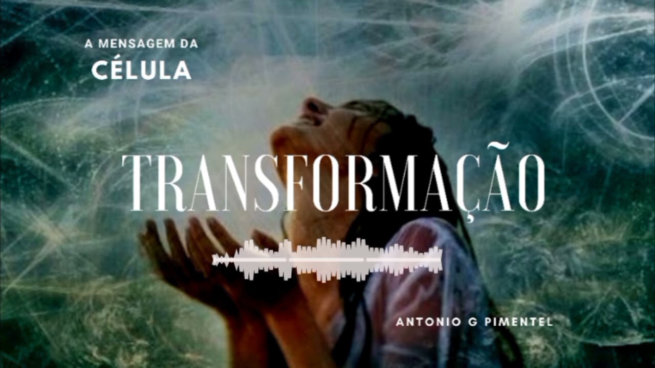 TRANSFORMAÇÃO | A mensagem da Célula