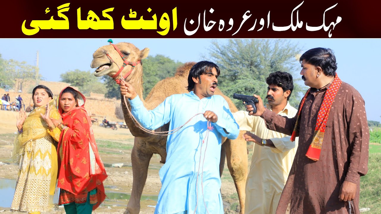 //Bhootna,Shoki, Bilo jagga Cheena & Sanam Mahi New Funny Video By Rachnavi Tv2