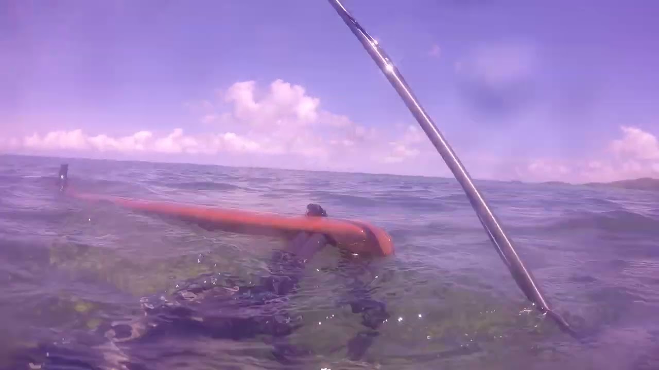Speared a Big Snapper with my Riffe Marauder 47 speargun