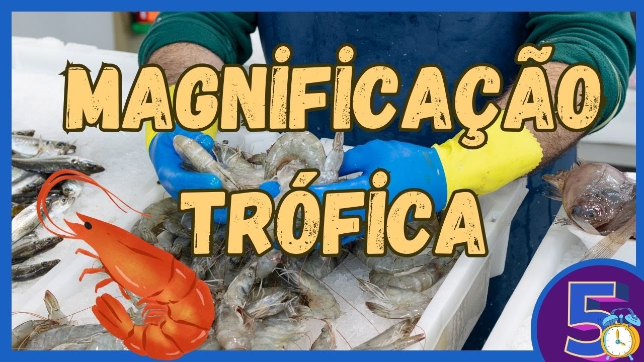 Magnifica&ccedil;&atilde;o Tr&oacute;fica: O Perigo Invis&iacute;vel no Seu Prato!