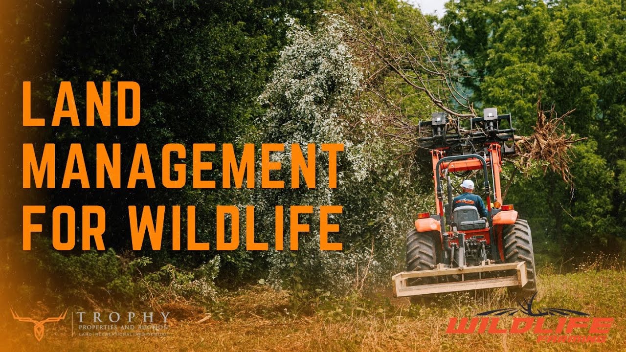 What Equipment Do I Need for Land Management? - Wildlife Farming