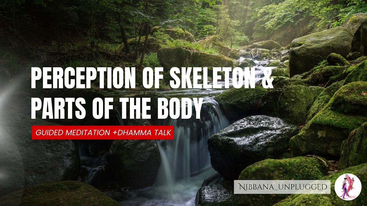 Perception of skeleton and parts of the body