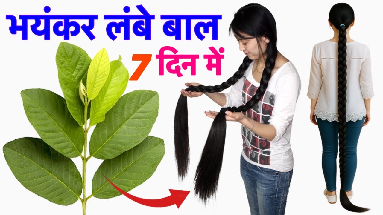 अमरूद के पत्ते में एक चीज़ मिलाकर बालों में लगा लो | Bal bhayankar Lambe Ghane Ho jaenge💯✅