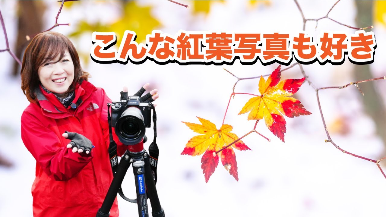 紅葉は絶景じゃなくても大丈夫✨【小さな秋を探そう作戦♪】