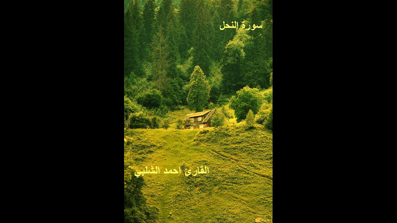 سورة النحل للقارئ احمد الشلبي
