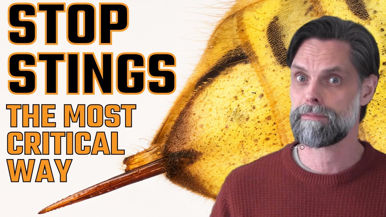 Single Most CRITICAL Way To STOP Bee & Wasp STINGS