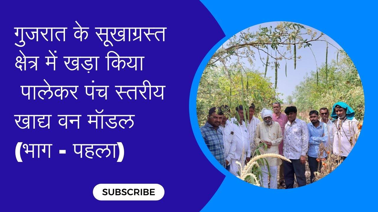 गुजरात के सूखाग्रस्त क्षेत्र में खड़ा किया पालेकर पंच स्तरीय खाद्य वन मॉडल(भाग - पहला)