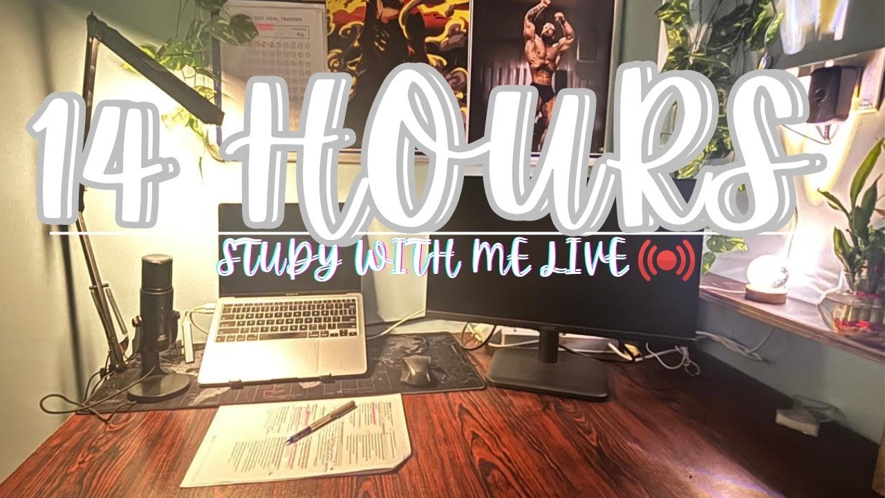 Live Study with me 14 hours| 55/5 Pomodoro ⏰️ | Rain Sound ⛈️