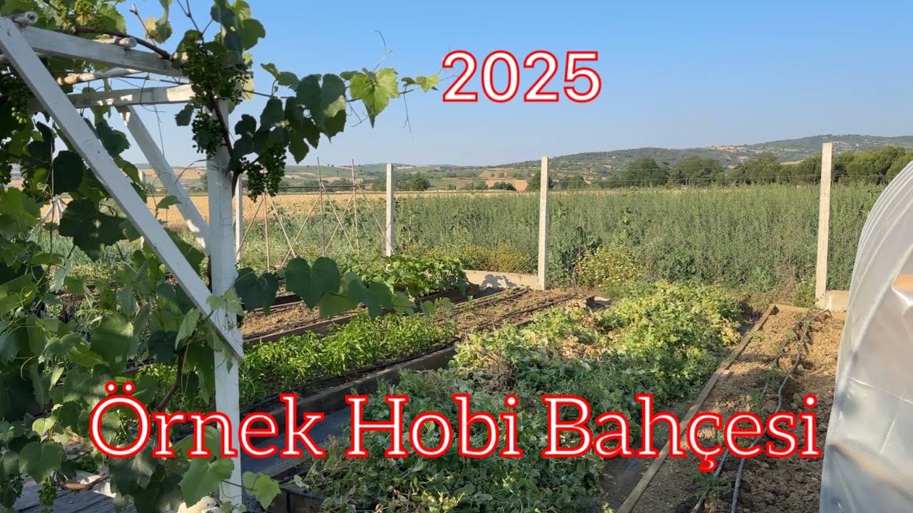 Örnek Hobi Bahçesi 2025 Böylesini Görmediniz