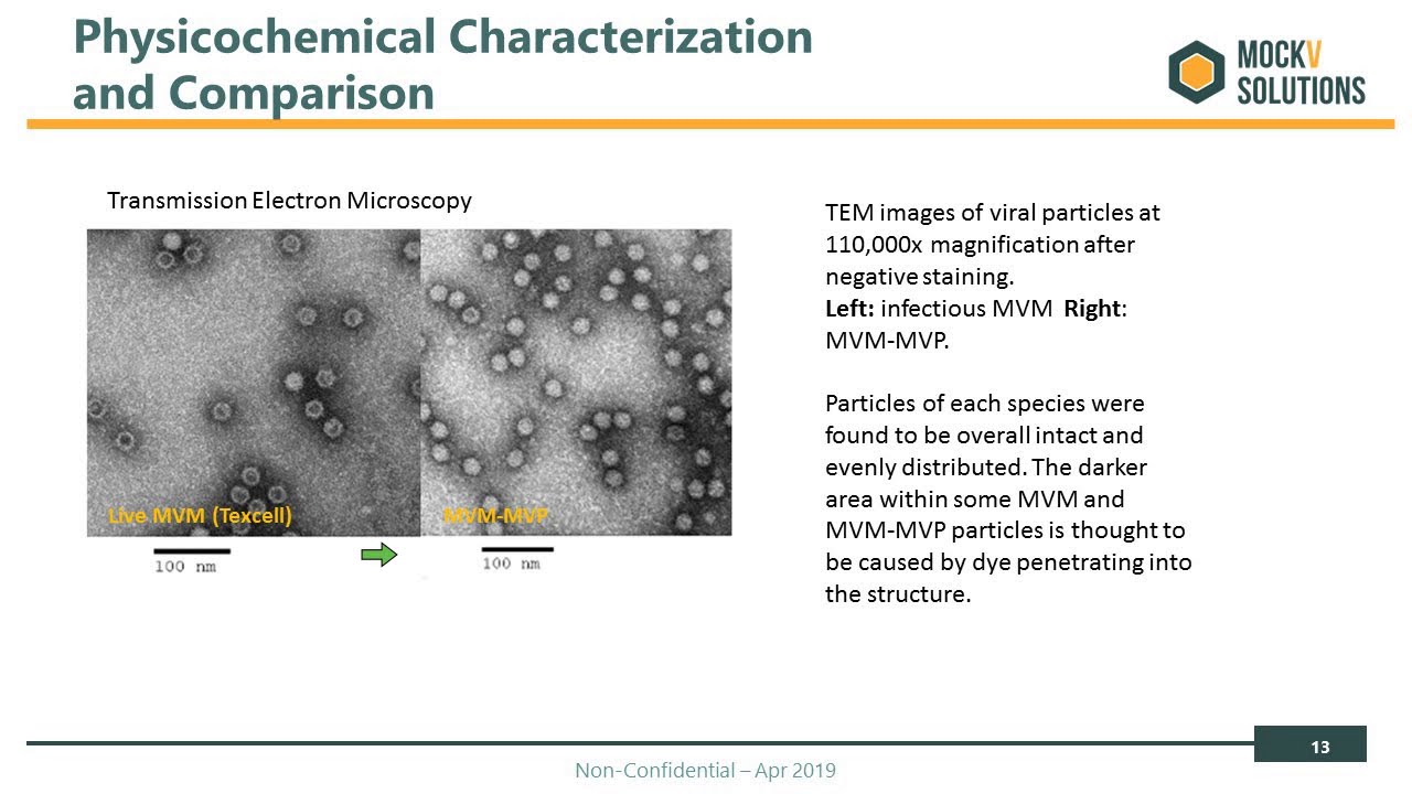 Clearing the Way for Viral Clearance