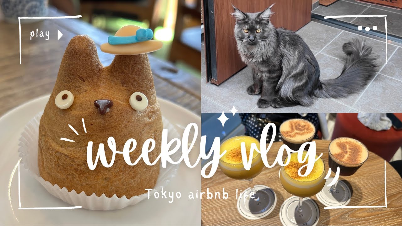 Totoro Café & Autumn Declutter 🍂