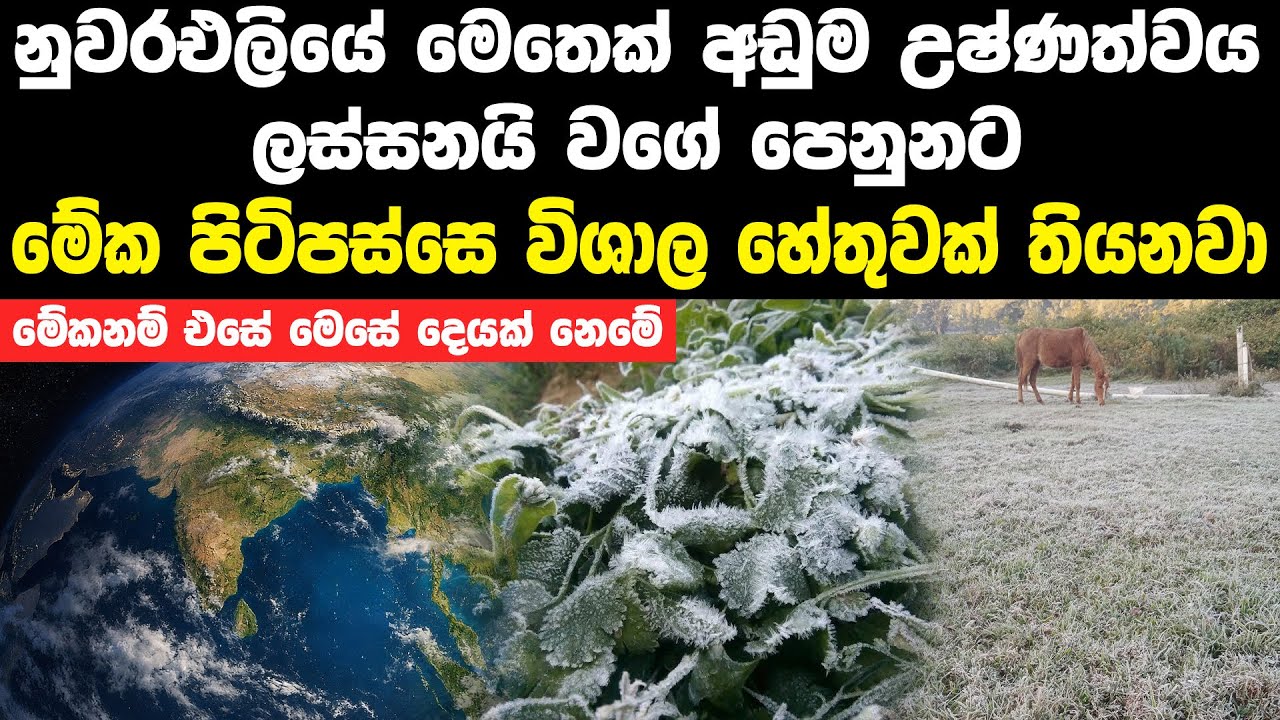 නුවරඑළියේ මෙතෙක් අඩුම උෂ්ණත්වය ආපු කවුරුත් නොකියූ හේතුව | Nuwara Eliya Lowest Temperature Recorded