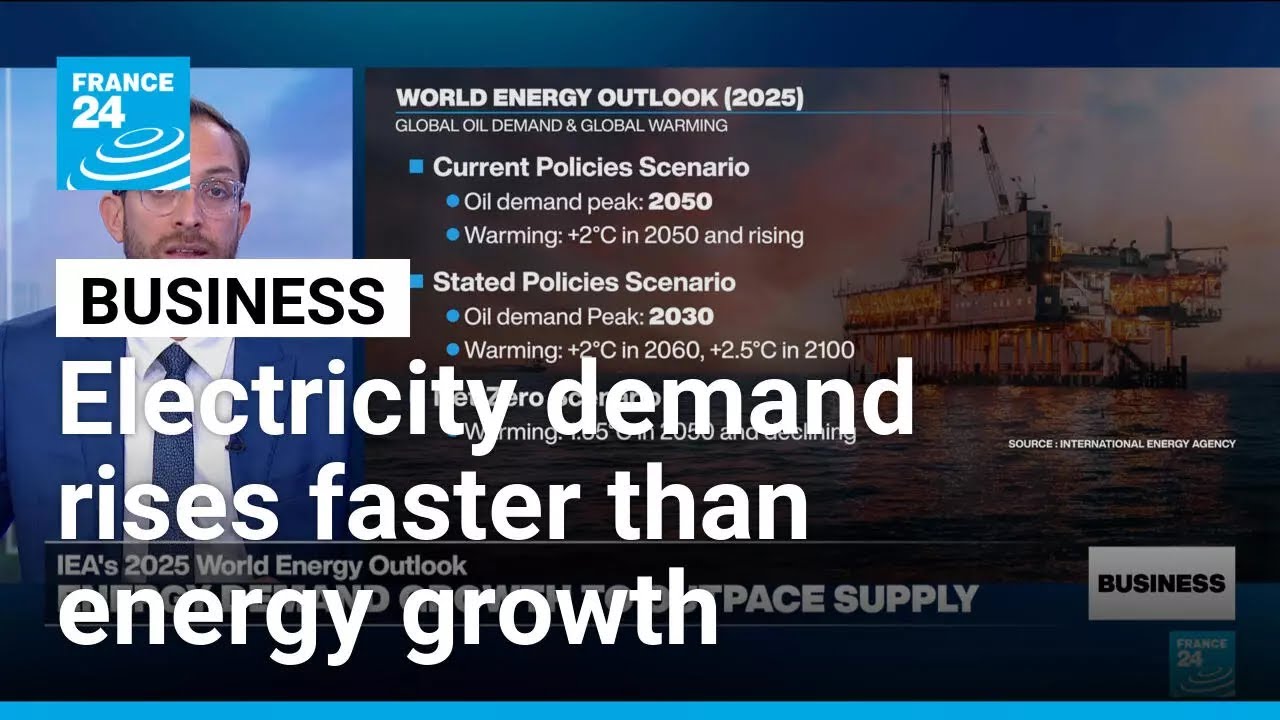 IEA reports shows rising demand for electricity, need for energy diversity &bull; FRANCE 24 English