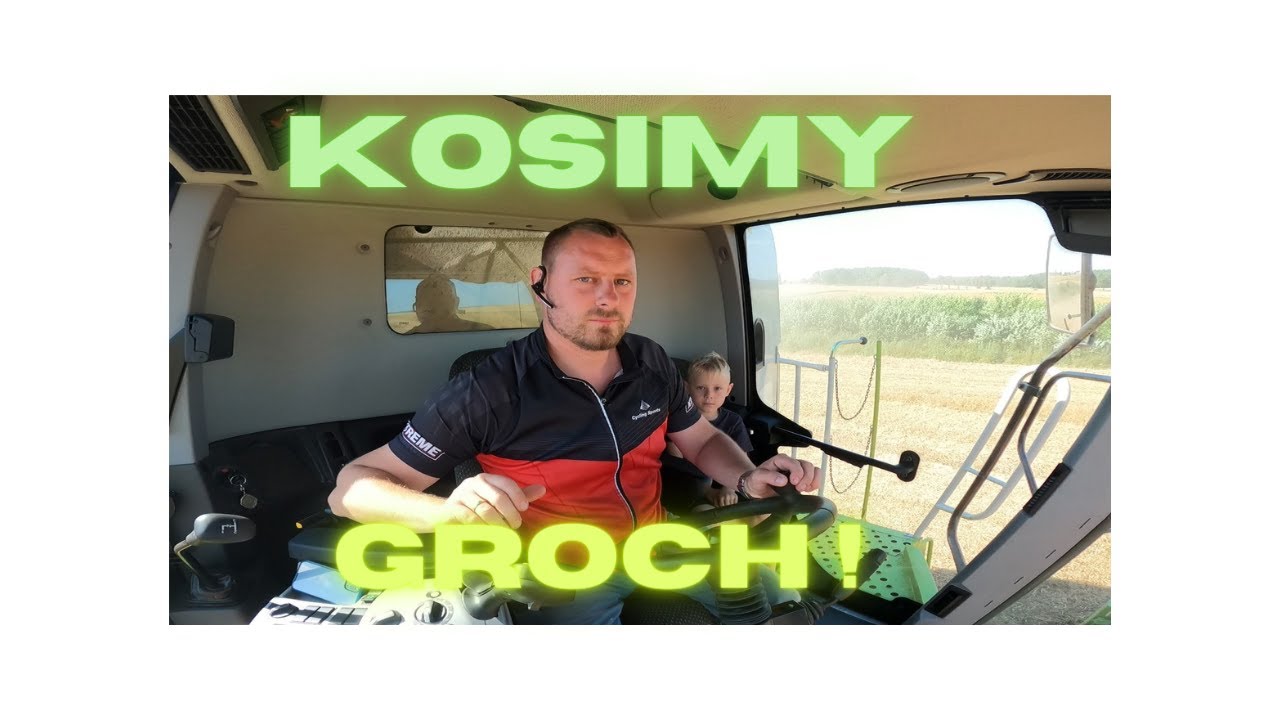 Groch leży ! Jak kosić ???? Wynik na 5!