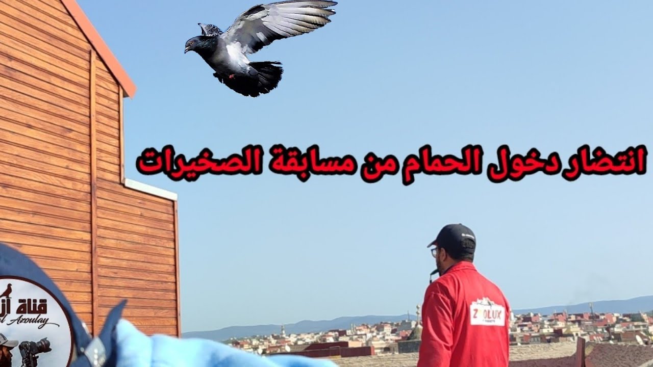 دخول الحمام من مسابقة170كلم بالقصر الكبير