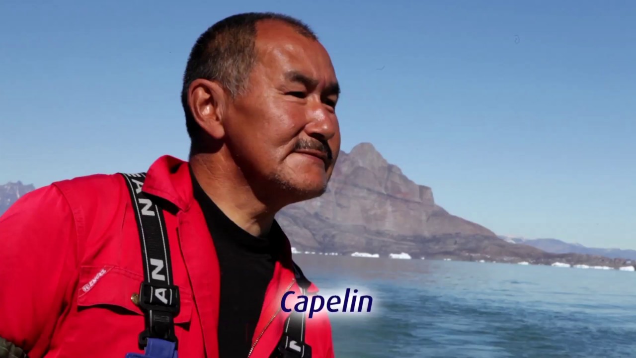 Royal Greenland Schwarzer Heilbutt – Fang und Verarbeitung