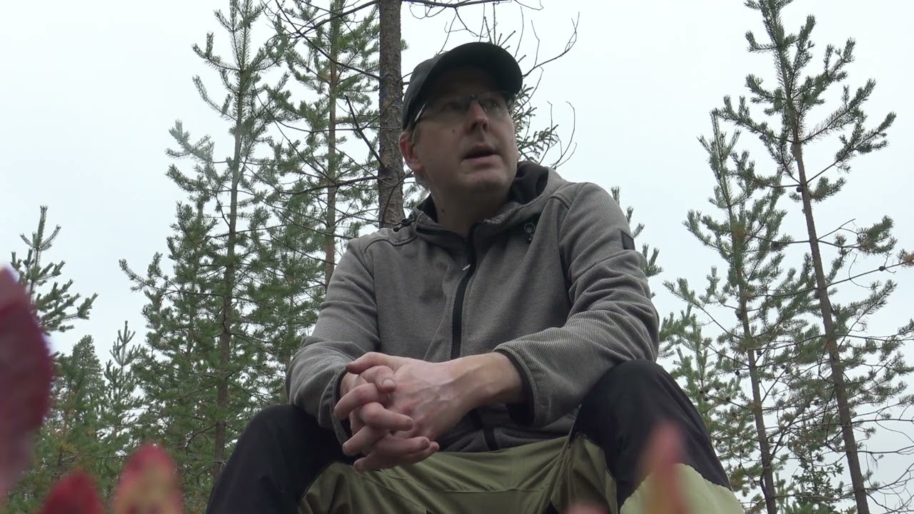 Kemijärven metsäpolku, huonokuntoinen