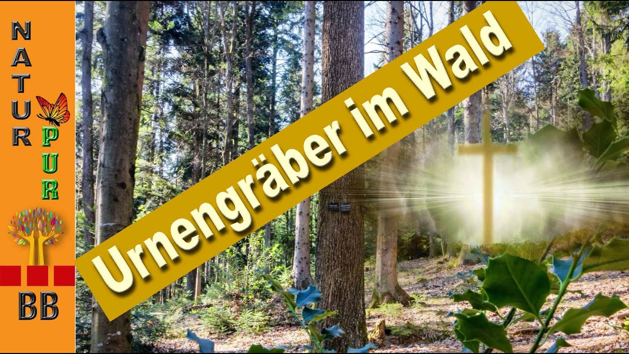 Urnengräber im Wald und ein Lebensweg gestaltet mit Holzskulpturen/ Ruhewald Bildtann im Schwarzwald
