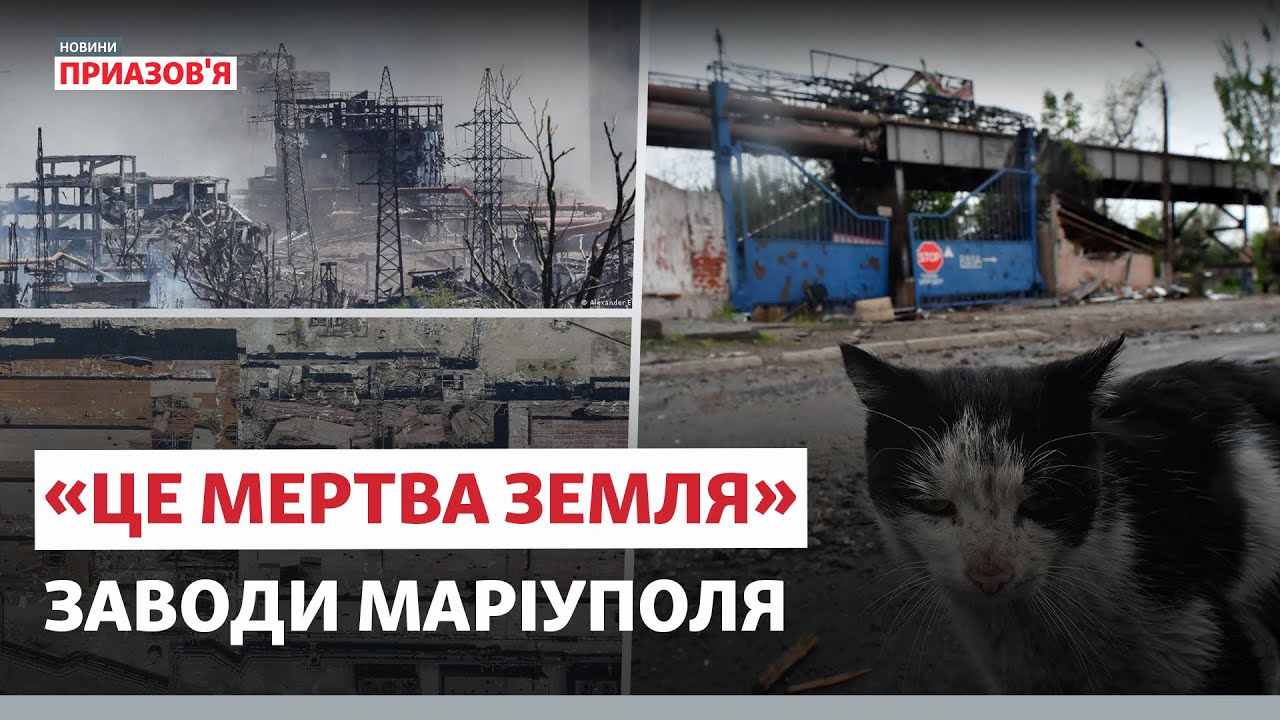 ❗️😢 «ЦЕ БУЛИ УНІКАЛЬНІ ЗАВОДИ». Плани РФ щодо зруйнованих заводів Маріуполя | @AzovSeaNews