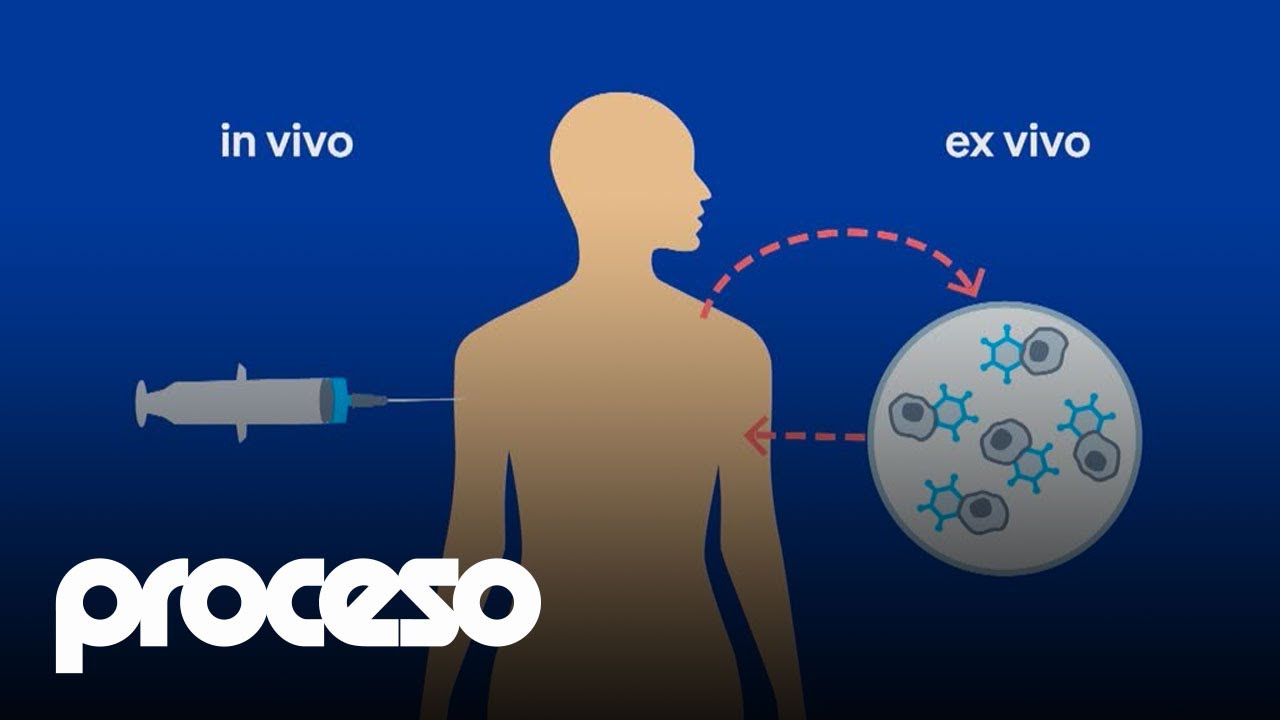 La terapia genética y cómo funciona
