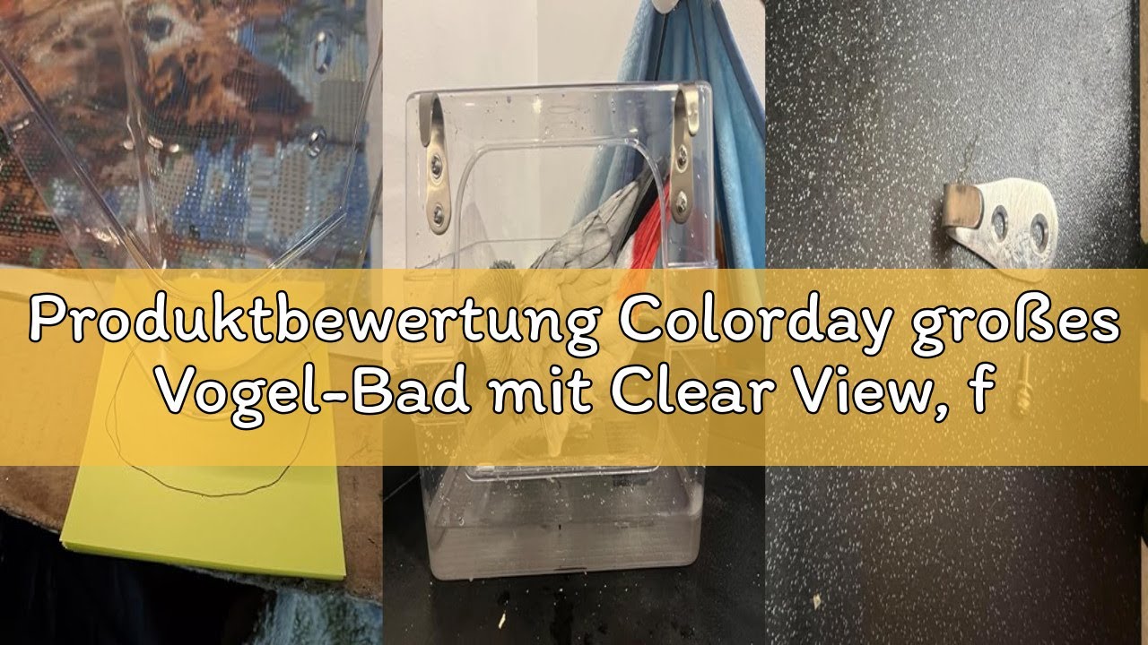 Produktbewertung Colorday großes Vogel-Bad mit Clear View, für Grays, sittiche, nymphensittiche, sit