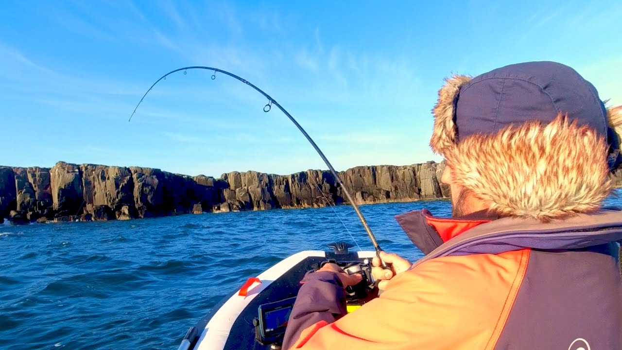 Hounded By Seals | Cod, Coalfish And Pollock Fishing | Beadnell & The Farne Islands