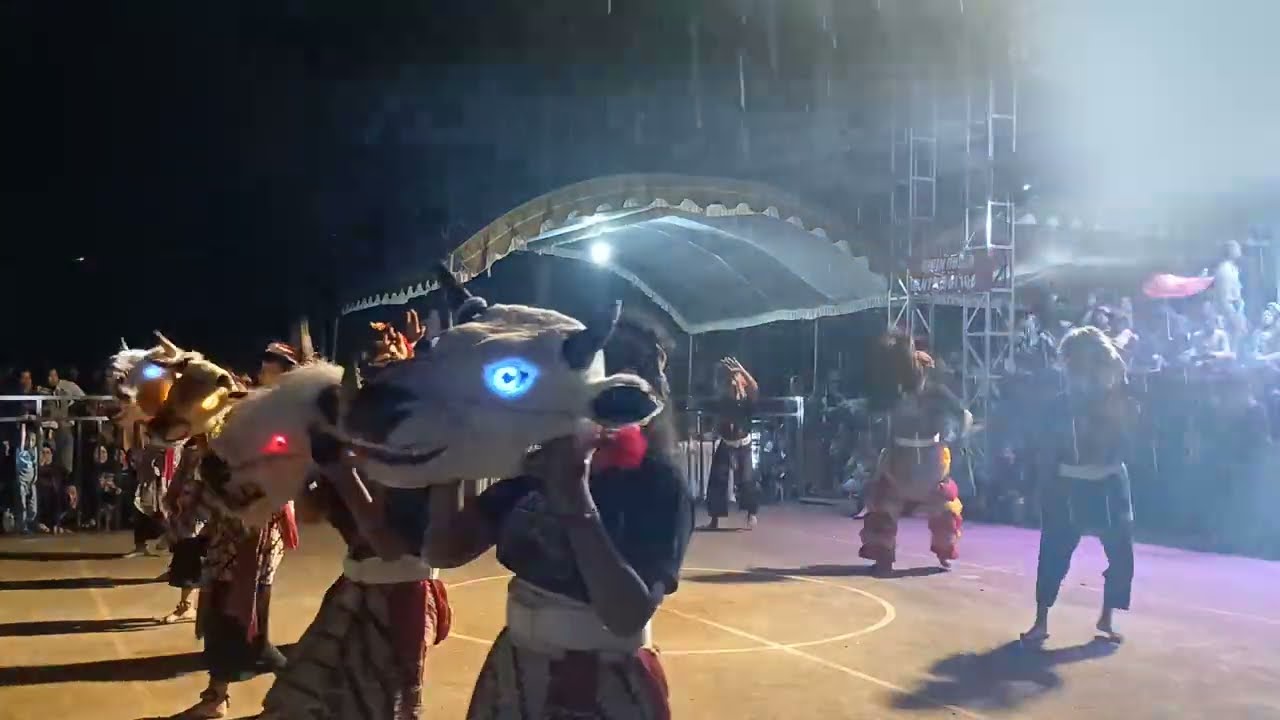 BANTENG WEDOK MAHESO PUTRO GUMELAR #NYAWANGAN#SENDANG