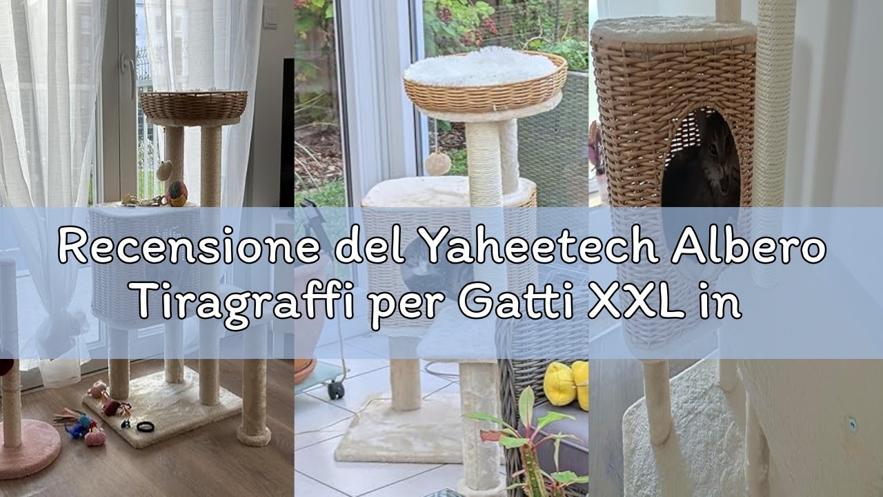 Recensione del Yaheetech Albero Tiragraffi per Gatti XXL in PE Rattan, Piattaforma e Casetta 10kg co